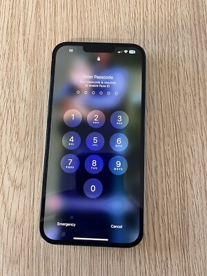 Apple iPhone 13 Pro Max - 128GB - Sierra Blue (Unlocked) A2643