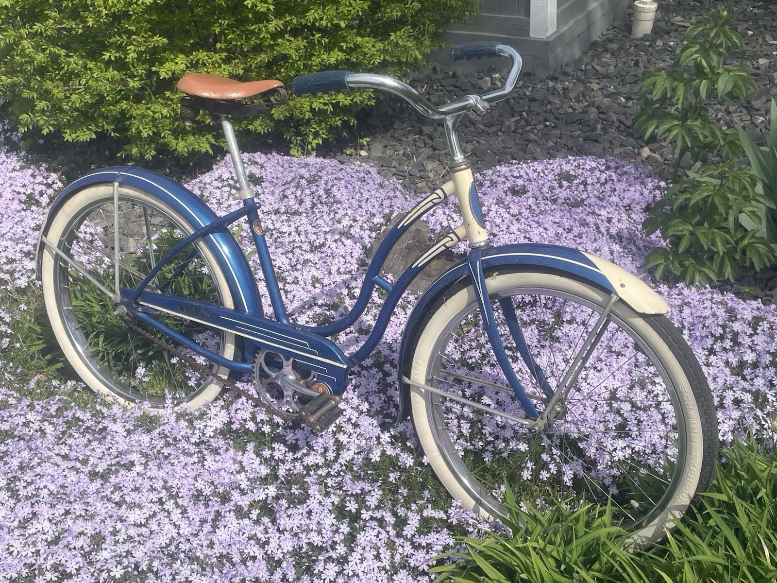 1954 Lady's 24" Girls Schwinn Wasp, Typhoon Tires, Vintage B