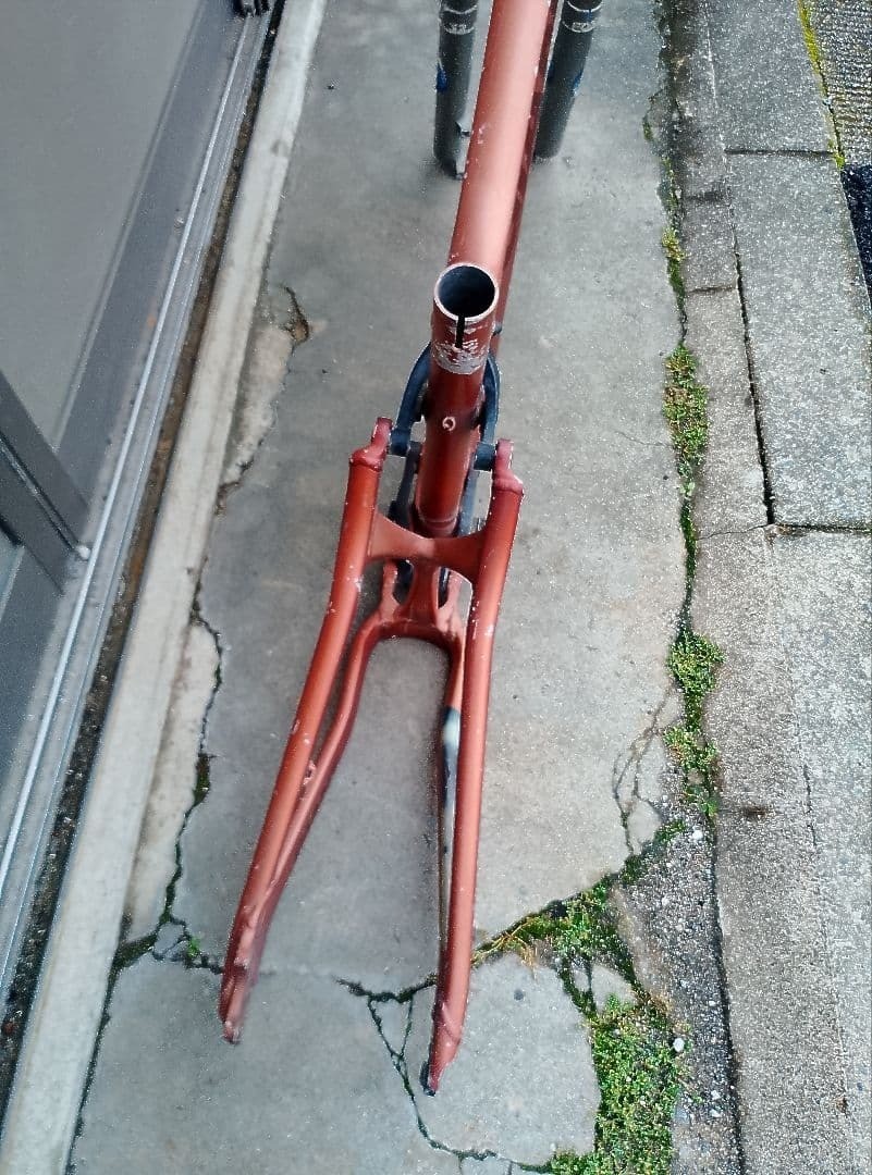 GIANT REIGN1 Frame | eBay