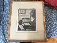 Louis Legrand, Le Chat d'Angora, Etching, 1771 colored framed matted excellent