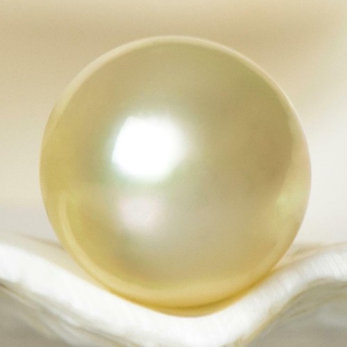 1.44 g South Sea Pearl 10.13 mm Champagne Off-Round undrilled Maluku Indonesia - Picture 5 of 7