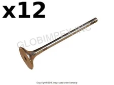 AUDI / VW (1997-2006) Exhaust Valve (6 mm Stem) (12) CRP INDUSTRIES + WARRANTY