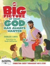 The Big Picture of What God Always Wanted by Dr. Boyd, Charles F: Used