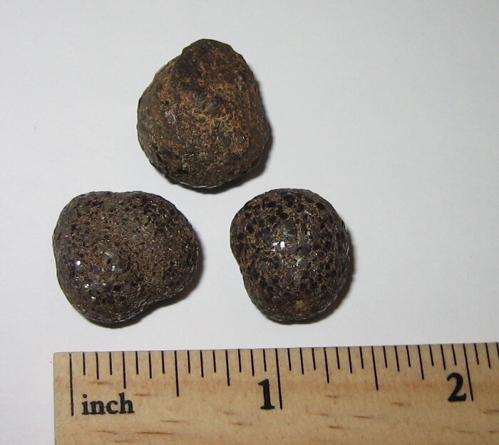 3 SMALL NATURAL 0.55"- 0.6" RARE 'PROPHECY STONE' MINERALS PAKISTAN 31.2grams *3