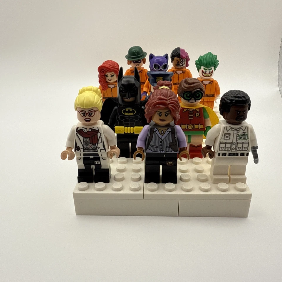 Lego Batman Arkham Asylum Mini Figuras: Hiedra Venenosa y Dr. Harleen Quinzel+más Foto 2 de 4