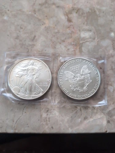 TWO  2009 1oz Silver Walking Liberty Dollar Coins .999 Fine Silver BU