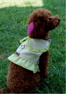 Dog collar stylish,wearable dog shirt collar,pink fancy collar,fancy dog collar