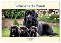 Calendar 2027 · US Version · Newfoundland - Lovable Bears (Wall Calendar 2027 17