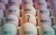 ✅Fertility,Gender,Sexing,Tester ForBirds,Hatching Eggs/Chicks Works EveryTime🐥