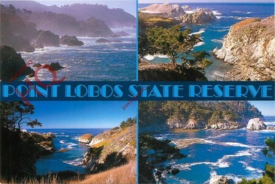 Ansichtskarte__Point Lobos State Reserve