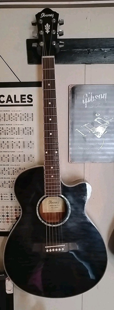 Ibanez Acoustic Electric Guitar AEG25E-TBK-3R-01 | eBay