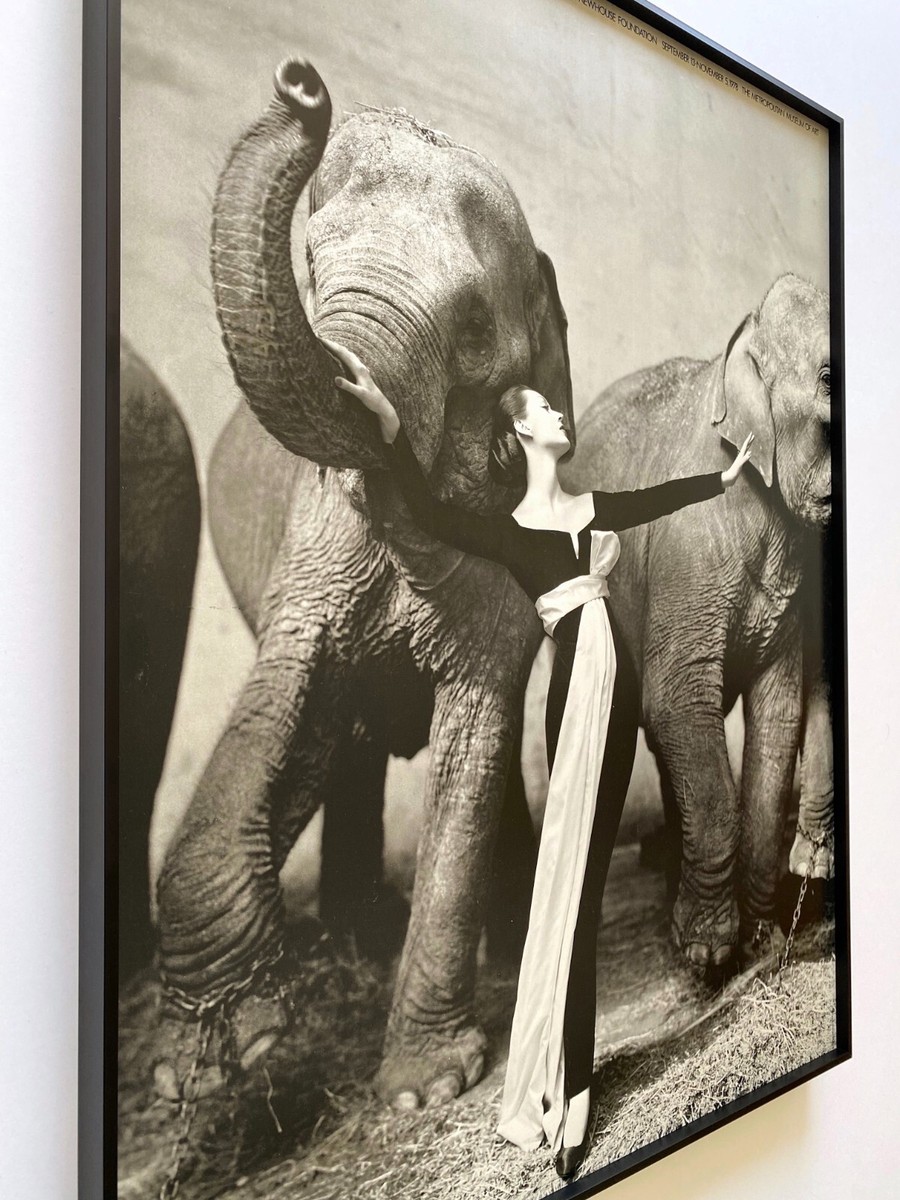 RICHARD AVEDON RARE 1978 LITHO PRINT FRAMED EXHBT POSTER