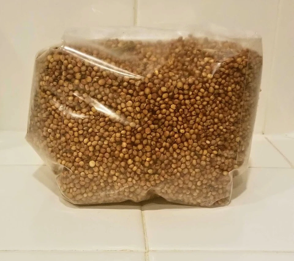 Sustrato de hongo de grano esterilizado (milo) - 3 libras cada bolsa = frascos de 3 cuartos de galón Foto 2 de 3