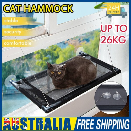 pet window hammock