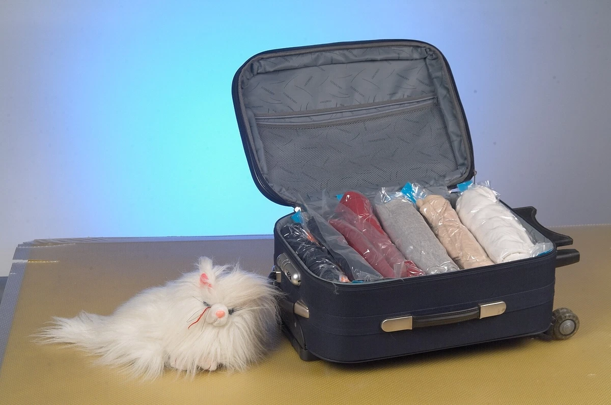 Travel Storage Bag Suitcase, Suitcase Space Saver