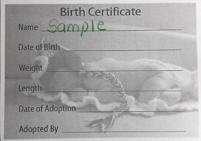BEAUTIFUL Reborn Baby Birth Certificate Card Stock 5x7 ~REBORN DOLL SUPPLIES