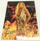 2000 IMAGE SPOKESMODEL KEEPSAKE! 24 KT GOLD SIGNATURE CARD BRANDYE ELAINE #44