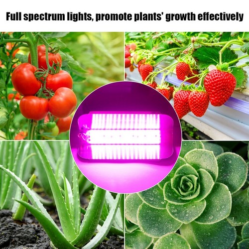 220V 30W Indoor Plants COB LED Growing Light Full Spectrum Plant Grow ...