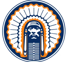 Illinois Fighting Illini Weather Resistant Vinyl Sticker/Decal 01