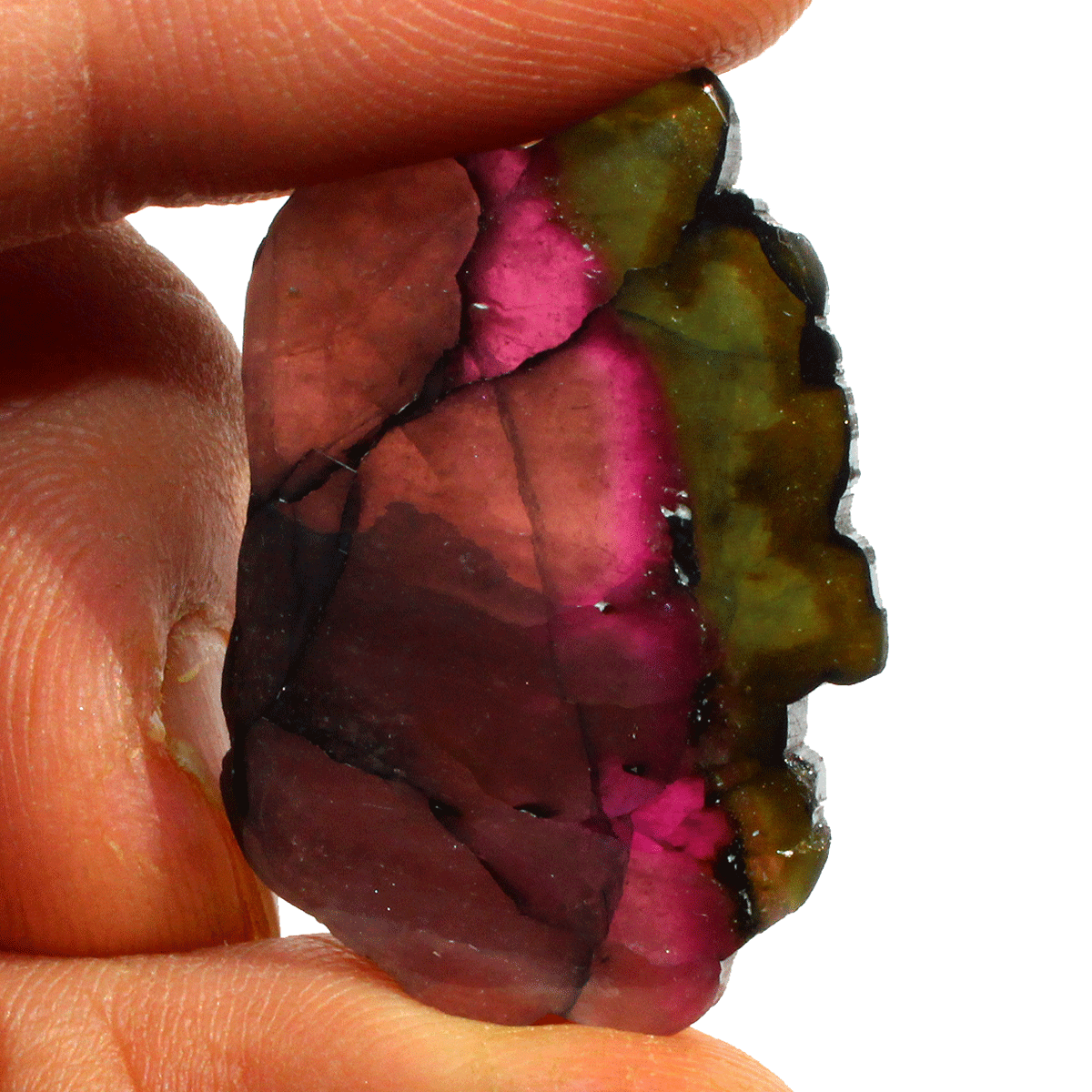 Collector's Grade 33 CT Natural Watermelon Tourmaline Gem Polished Crystal Slice