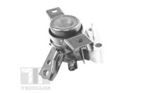 Tedgum TED13922 Engine Mounting For Toyota