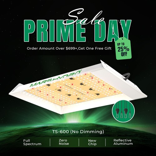 Mars Hydro TS 600 1000 2000 3000 LED Grow Light Pełne spektrum Lampa roślinna Bloom - Zdjęcie 18 z 140
