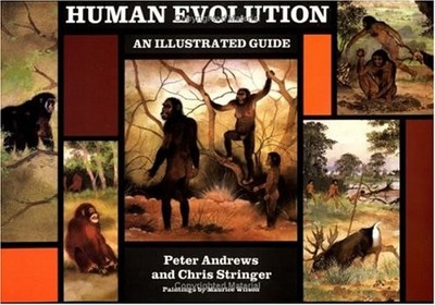 Human Evolution : An Illustrated Guide Paperback C. B., Andrews,