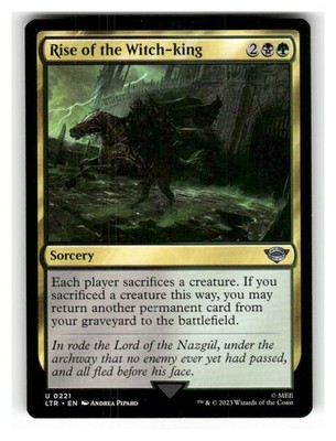 Rise of the Witch-King 221 Universes Beyond: LotR: Tales of Middle-earth MTG NM