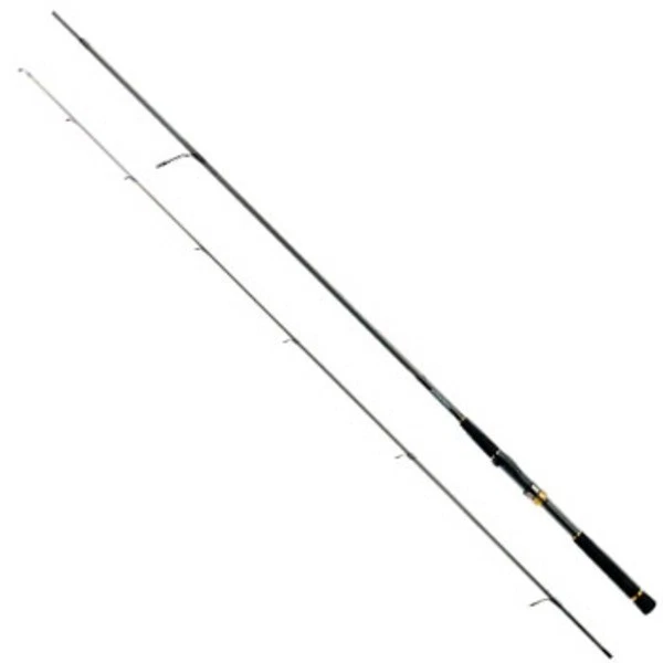 daiwa 9 feet fishing rod X4 Pike Fly 9'#9 but also for rockfish and seabream. Daiwa D-Wave Saltwater 7ft-10ft Spinning