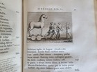 Zdjęcie 15 z 24