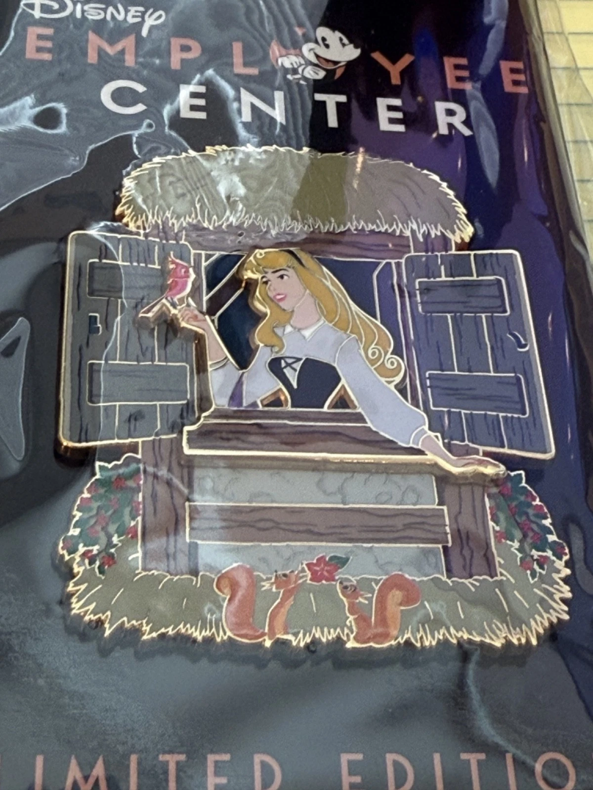 DEC Aurora Pin Window of Wonder LE 400