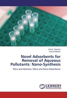 Novel Adsorbents For Removal Of Aqueous Pollutants: Nano-Synthesis Saima Nasreen
