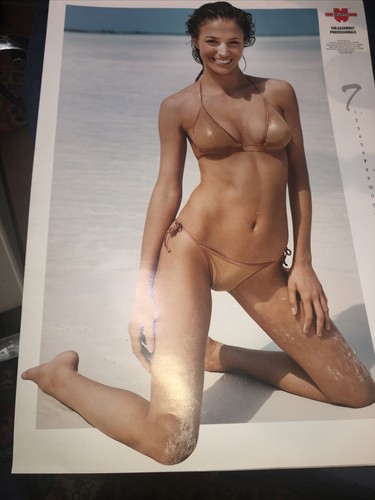 WURTH GIRLS 2002 Sexy Super Model Bikini Swimsuit Photo Wall Calendar Posters - Picture 8 of 9