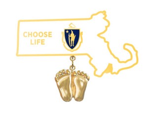 Authentic Precious Feet, 14K Gold Plated, Massachusettes Flag Jewelry, Lapel Pin