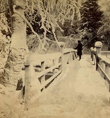 Bridge to Luna Island in Winter Niagara Falls NY Curtis Stereoview c1870