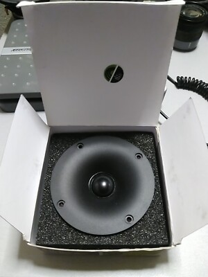 Dondon 10/24.25発送❌です　カラヴァッジオ1灯 71WZKy5LZCL._AC_UF350,