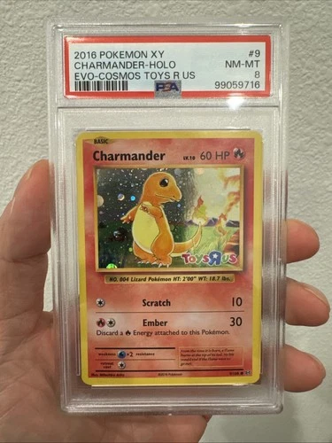 Charmander - (Toys R Us Promo) 009/108 XY Evolutions Cosmos Holo PSA 8