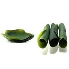 Hoja de guineo para pastele pr