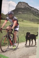 Hands-Free Dog Bike Leash - Safe Outdoor Cycling for Medium Size Dog