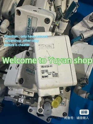 1  PC USED  TEST  OK   PB1013A-01   Pneumatic Diaphragm Pump  Valve *tm
