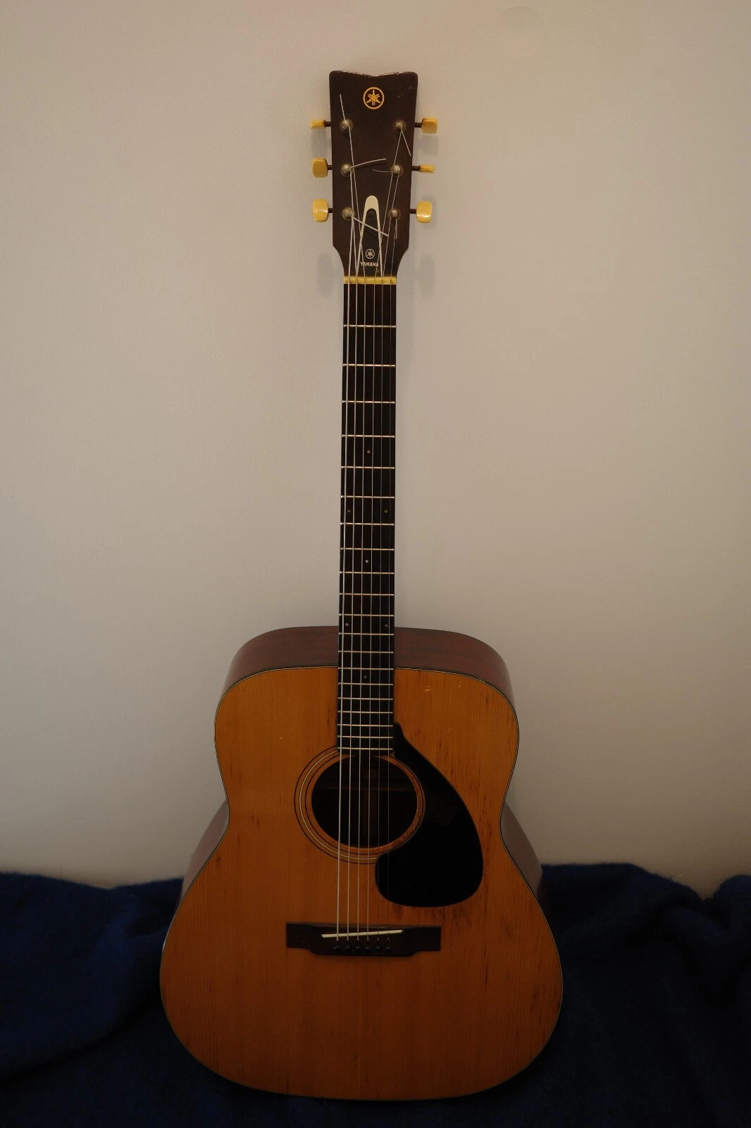 Picture 5 of 5
