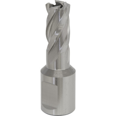 14 mm x 25 mm Tiefe Rotabor Fräser - M2 Stahl Ring Metall Kernbohrer 19 mm Schaft
