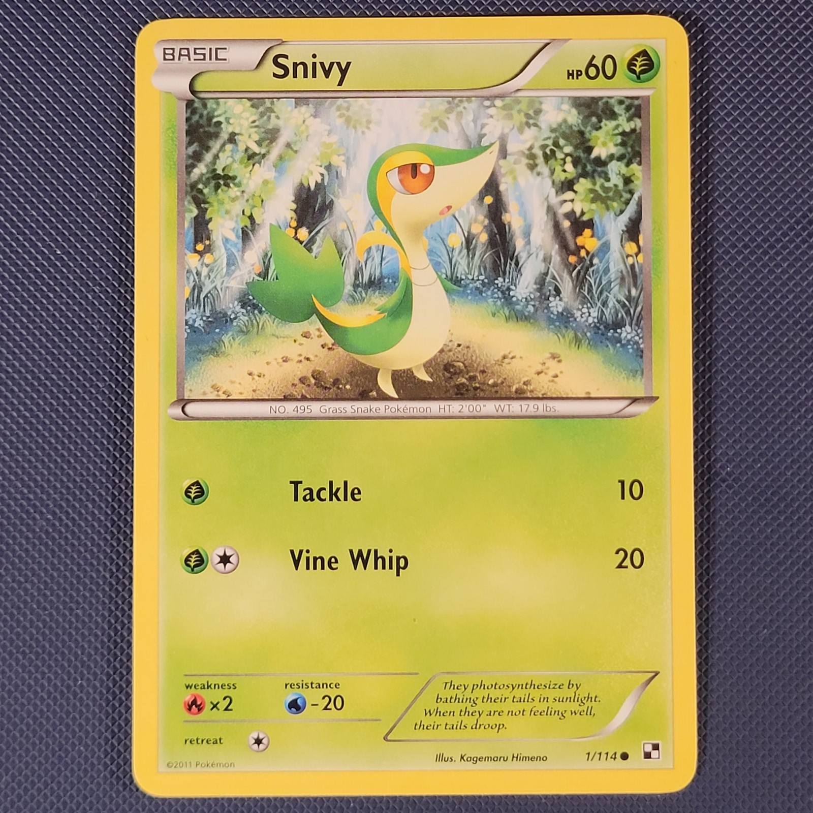 Snivy 1/114 - Black & White - Common Pokemon Card - NM