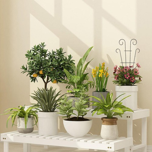 2Pcs Trellis for Potted Plants, Garden Trellis for Climbing Plants Flower - Picture 6 of 7