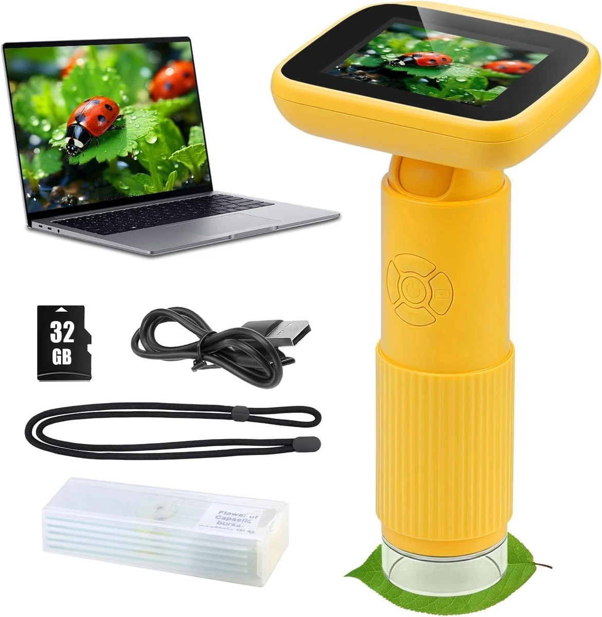 1000X Microscopio para Monedas con Luces, Lupa Digital Portátil para Monedas con 8 Ajustes