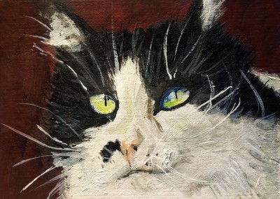 ACEO Original Miniature Painting  Cat Portrait Black and White Dark Kitty