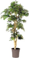 Artplants Kunst Baum Japanischer Ahorn Daniil, Echtstamm, GrüN-Rot, 185Cm