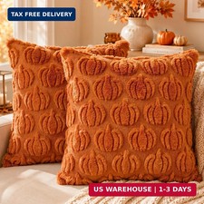 Fall Pillow Covers 18x18 Set of 2, Fall Decorations for Home