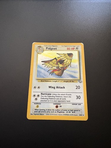 Pidgeot