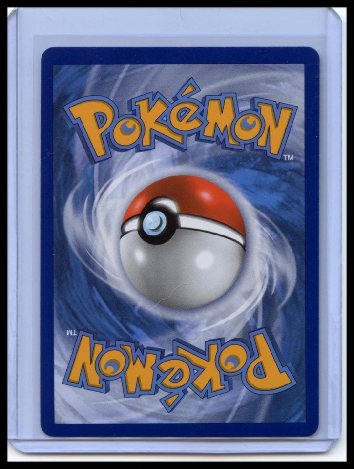 SWSH: Sword & Shield Promo Cards #SWSH015 Cinderace V - Image 2 of 2